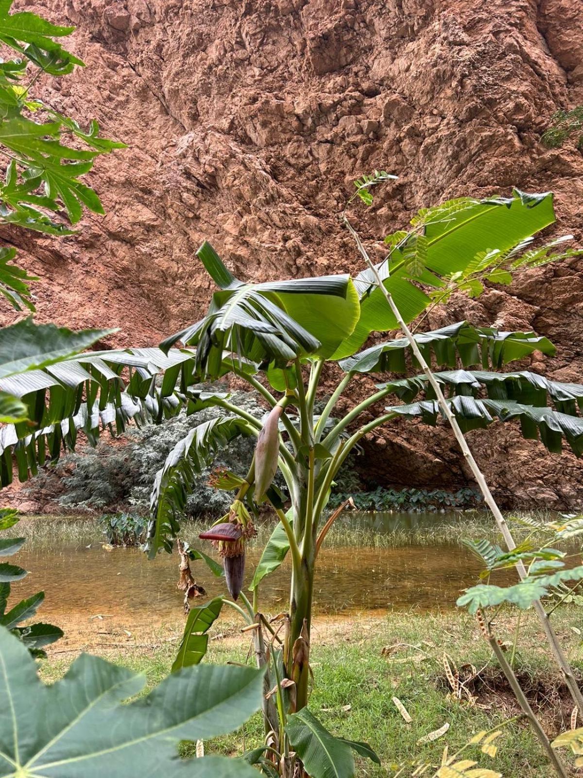 Atlas Wadi Shab Σουρ Εξωτερικό φωτογραφία